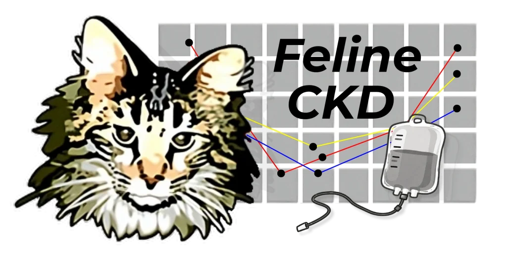 Felinekidney.com